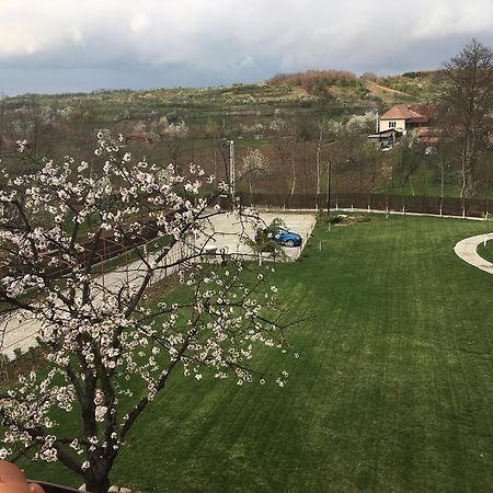 Pensiunea Amurg Mesesenii de Sus Eksteriør billede